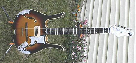Custom Longhorn Guitar by Bill Wagoner (Plymouth, IN)