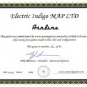 Eastwood Airline Map Limited Edition Electric Guitar (Electric Indigo)