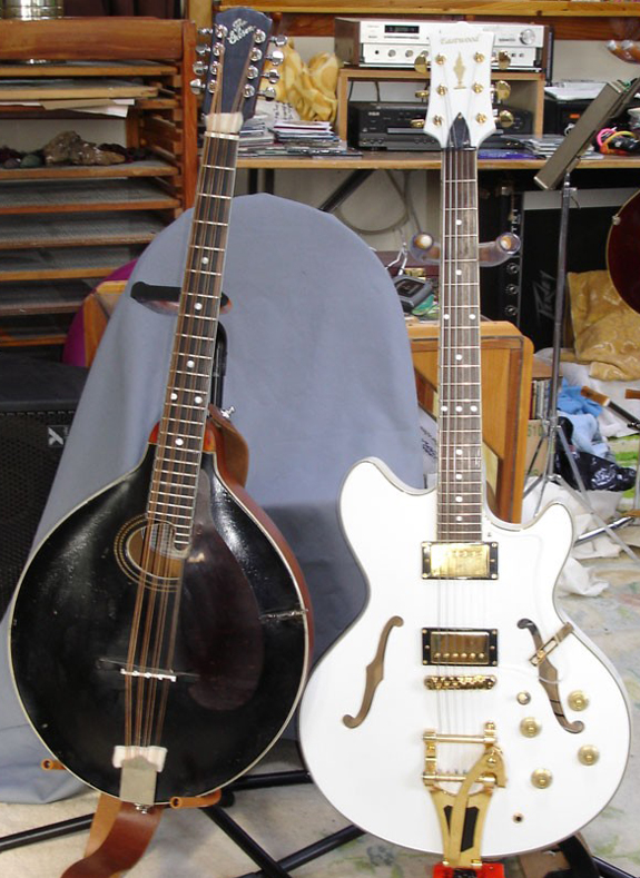 Gibson Mandocello & Eastwood Savannah Guitar