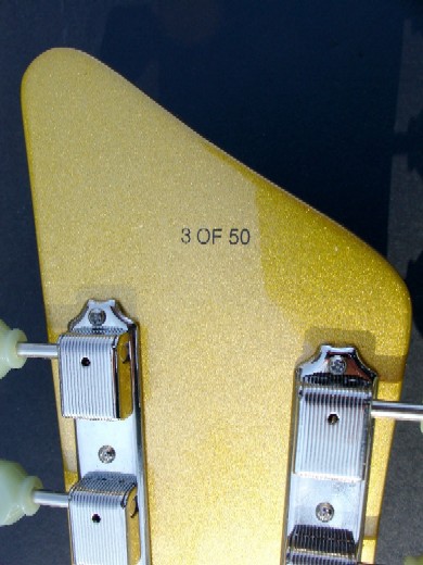 50th Anniversary AIRLINE '59 Custom Guitar