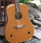 Art & Lutherie Cedar