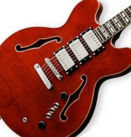 Limited Edition: Joey Leone Signature Guitar