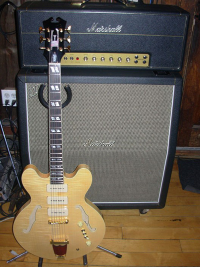 Joey Leone Signature Model Guitar