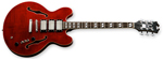 Joey Leone LTD Guitar