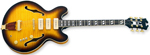 Joey Leone Signature RBC Guitar