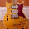 Vintage 1960\'s Airline Barney Kessel Model Swingmaster Electric Guitar (Standard)