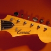 Vintage 1960\'s Conrad Guitars