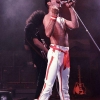 freddie-mercury-1