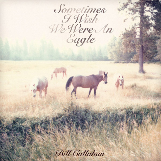 Bill Callahan - Sometimes I Wish I Were An Eagle