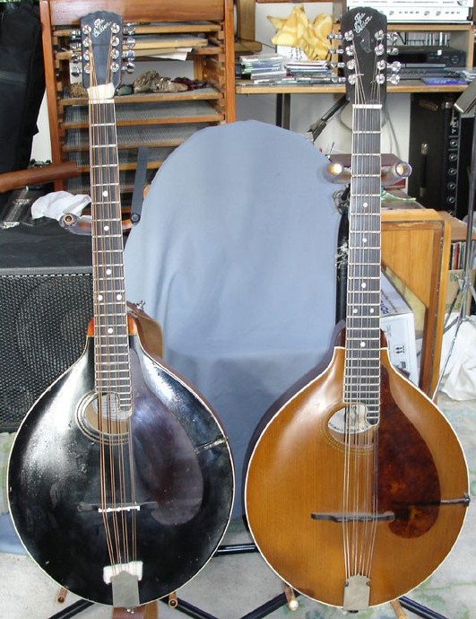 Gibson Mandocello